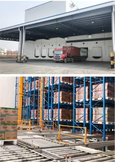 Single Deep Pallet Stacker ASRS, Automatic Storage and Retrieval System