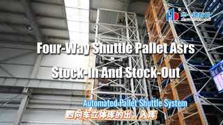 Four-Way Shuttle Pallet Asrs And Workbin Stock-In And Stock-Out