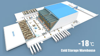 Cold Storage Warehouse Pallet Stacker Crane ASRS