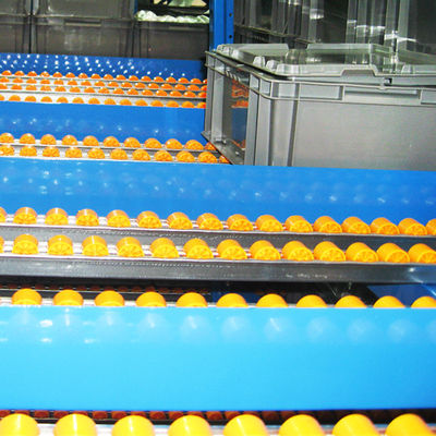 Powder Coated Gravity Flow Roller Racking