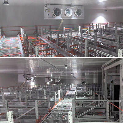 Four-Way Shuttle Pallet ASRS Cold Storage Warehouse Automatic Storage and Retrieval System Pallet Runner Racking