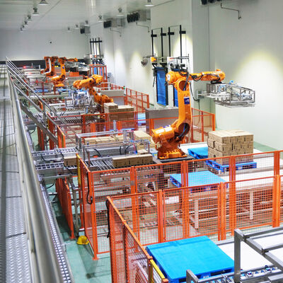 Pallet Conveyor Sorting System For ASRS Automatic Storage And Retrieval System And Warehouse Storage Rack